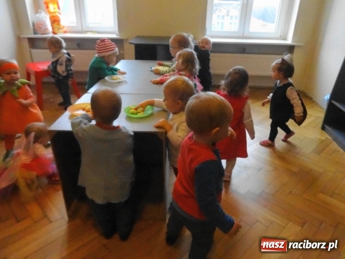 Zdjęcie w galerii na portalu naszraciborz.pl: Fikusie czekają na święta  wiadomości z regionu