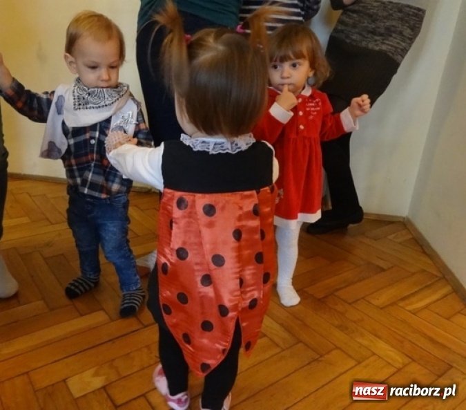 Zdjęcie w galerii na portalu naszraciborz.pl: Fikusie czekają na święta  wiadomości z regionu