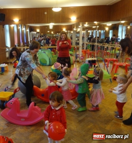 Zdjęcie w galerii na portalu naszraciborz.pl: Fikusie czekają na święta  wiadomości z regionu