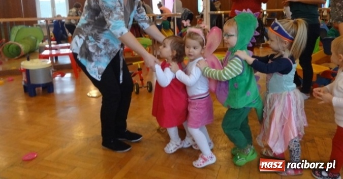 Zdjęcie w galerii na portalu naszraciborz.pl: Fikusie czekają na święta  wiadomości z regionu