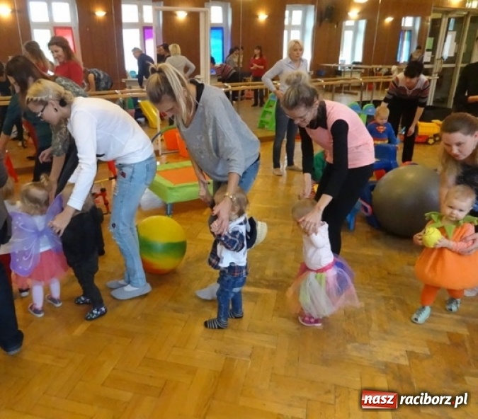 Zdjęcie w galerii na portalu naszraciborz.pl: Fikusie czekają na święta  wiadomości z regionu