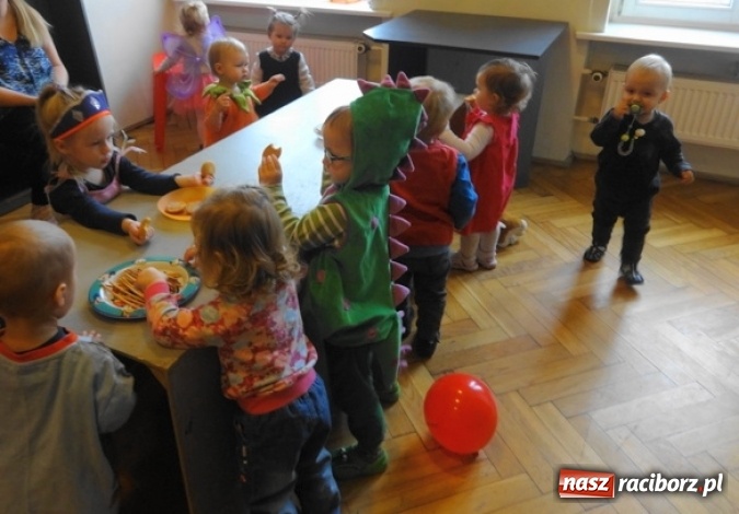 Zdjęcie w galerii na portalu naszraciborz.pl: Fikusie czekają na święta  wiadomości z regionu