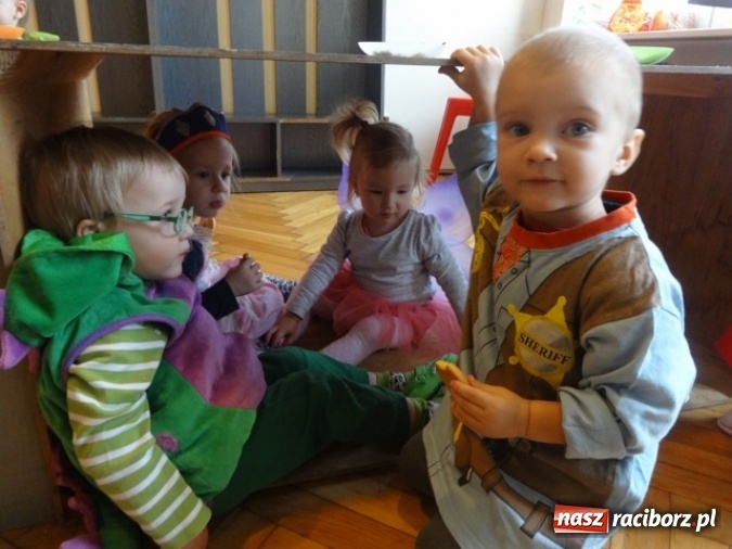 Zdjęcie w galerii na portalu naszraciborz.pl: Fikusie czekają na święta  wiadomości z regionu