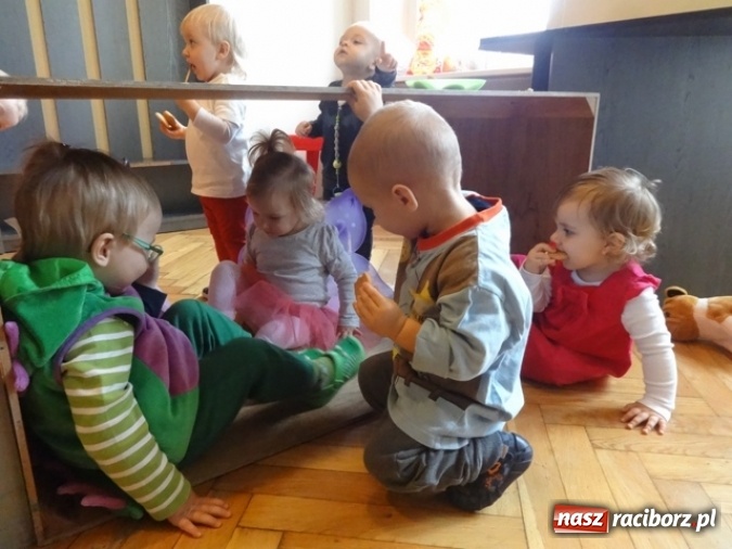 Zdjęcie w galerii na portalu naszraciborz.pl: Fikusie czekają na święta  wiadomości z regionu