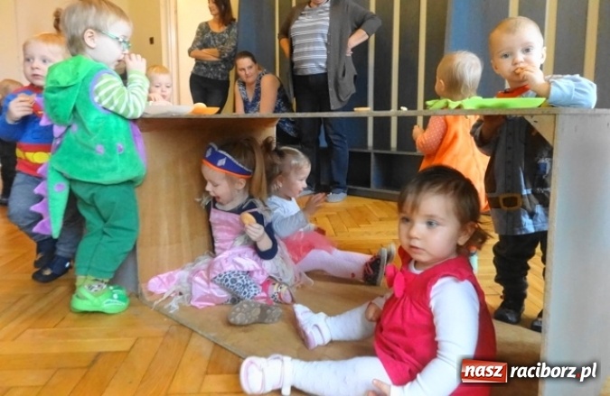 Zdjęcie w galerii na portalu naszraciborz.pl: Fikusie czekają na święta  wiadomości z regionu