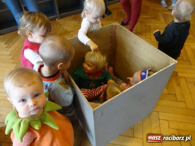 Zdjęcie w galerii na portalu naszraciborz.pl: Fikusie czekają na święta  wiadomości z regionu