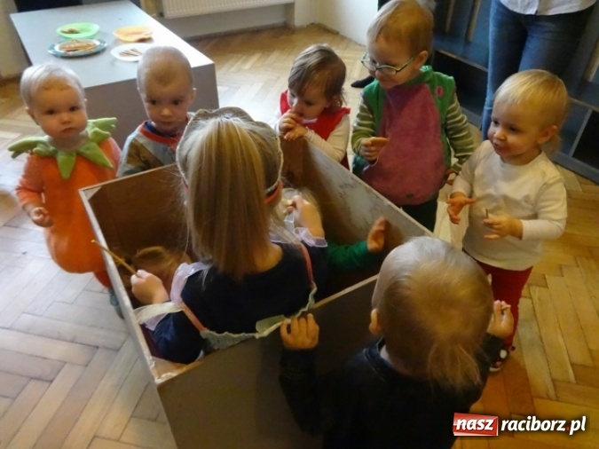 Zdjęcie w galerii na portalu naszraciborz.pl: Fikusie czekają na święta  wiadomości z regionu