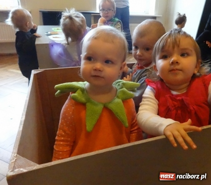 Zdjęcie w galerii na portalu naszraciborz.pl: Fikusie czekają na święta  wiadomości z regionu