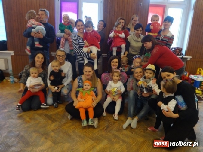 Zdjęcie w galerii na portalu naszraciborz.pl: Fikusie czekają na święta  wiadomości z regionu