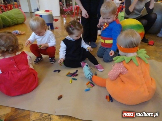 Zdjęcie w galerii na portalu naszraciborz.pl: Fikusie czekają na święta  wiadomości z regionu