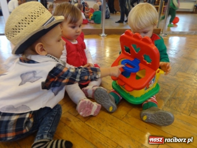 Zdjęcie w galerii na portalu naszraciborz.pl: Fikusie czekają na święta  wiadomości z regionu