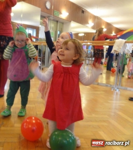 Zdjęcie w galerii na portalu naszraciborz.pl: Fikusie czekają na święta  wiadomości z regionu