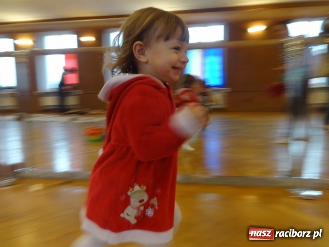 Zdjęcie w galerii na portalu naszraciborz.pl: Fikusie czekają na święta  wiadomości z regionu