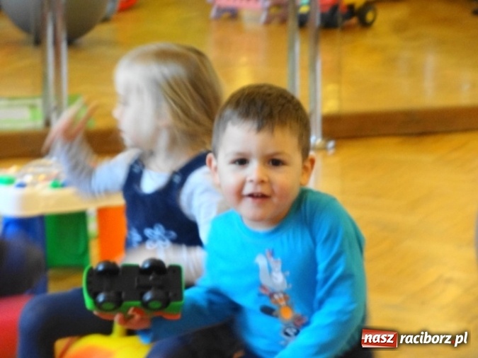 Zdjęcie w galerii na portalu naszraciborz.pl: Fikusie czekają na święta  wiadomości z regionu