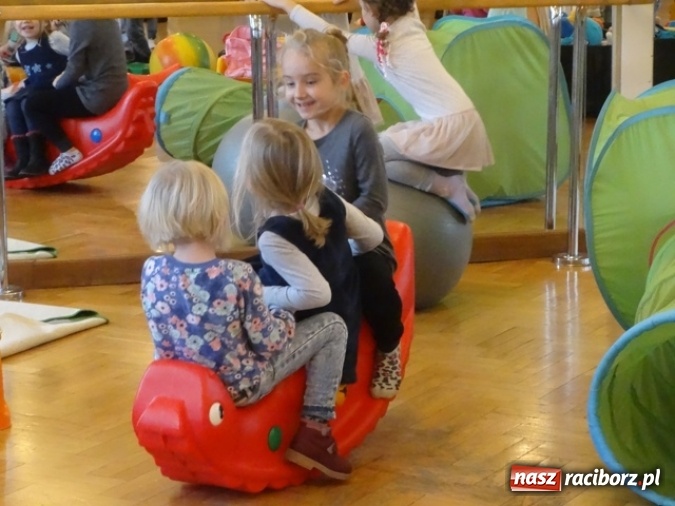 Zdjęcie w galerii na portalu naszraciborz.pl: Fikusie czekają na święta  wiadomości z regionu