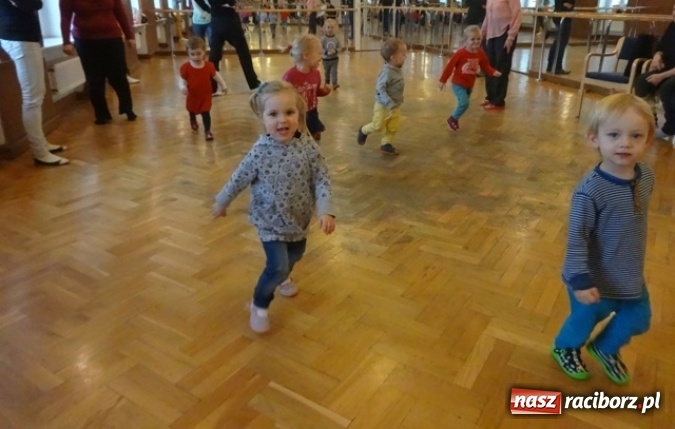 Zdjęcie w galerii na portalu naszraciborz.pl: Fikusie czekają na święta  wiadomości z regionu