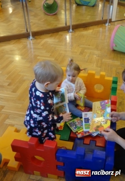 Zdjęcie w galerii na portalu naszraciborz.pl: Fikusie czekają na święta  wiadomości z regionu