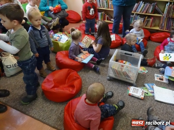 Zdjęcie w galerii na portalu naszraciborz.pl: Fikusie czekają na święta  wiadomości z regionu