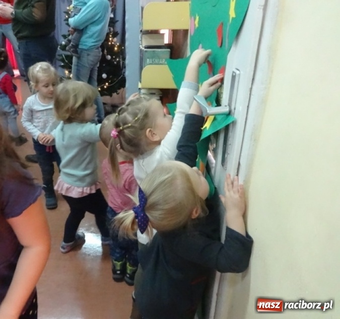 Zdjęcie w galerii na portalu naszraciborz.pl: Fikusie czekają na święta  wiadomości z regionu