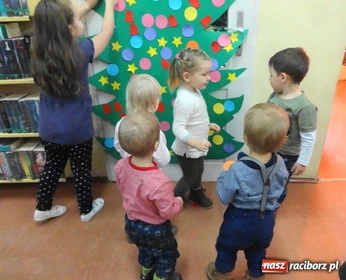 Zdjęcie w galerii na portalu naszraciborz.pl: Fikusie czekają na święta  wiadomości z regionu