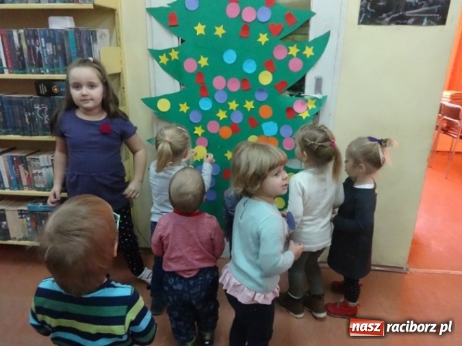 Zdjęcie w galerii na portalu naszraciborz.pl: Fikusie czekają na święta  wiadomości z regionu