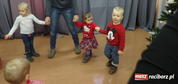 Zdjęcie w galerii na portalu naszraciborz.pl: Fikusie czekają na święta  wiadomości z regionu