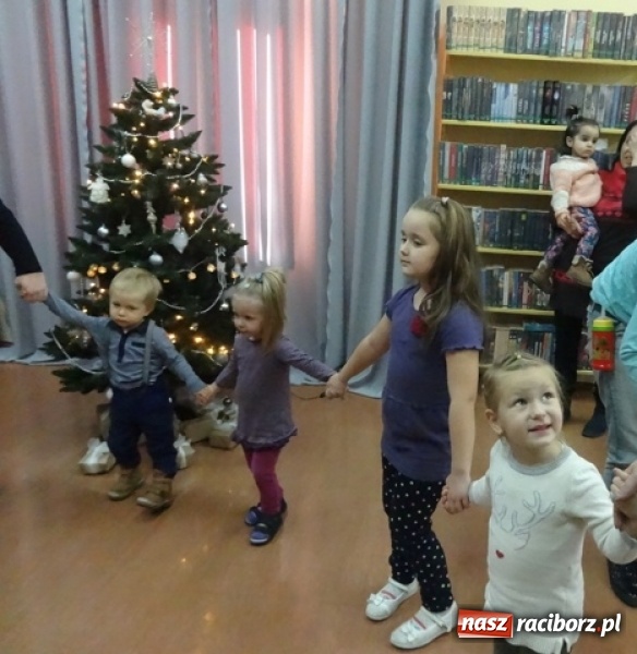 Zdjęcie w galerii na portalu naszraciborz.pl: Fikusie czekają na święta  wiadomości z regionu