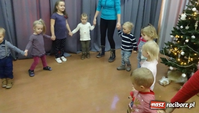 Zdjęcie w galerii na portalu naszraciborz.pl: Fikusie czekają na święta  wiadomości z regionu