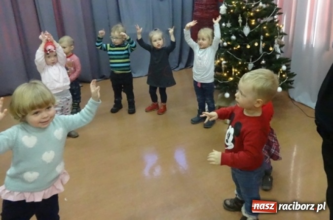 Zdjęcie w galerii na portalu naszraciborz.pl: Fikusie czekają na święta  wiadomości z regionu