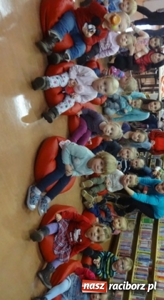 Zdjęcie w galerii na portalu naszraciborz.pl: Fikusie czekają na święta  wiadomości z regionu