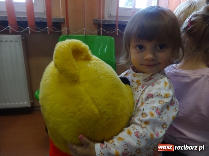 Zdjęcie w galerii na portalu naszraciborz.pl: Fikusie czekają na święta  wiadomości z regionu