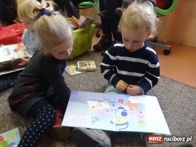 Zdjęcie w galerii na portalu naszraciborz.pl: Fikusie czekają na święta  wiadomości z regionu