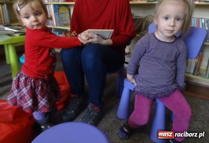 Zdjęcie w galerii na portalu naszraciborz.pl: Fikusie czekają na święta  wiadomości z regionu