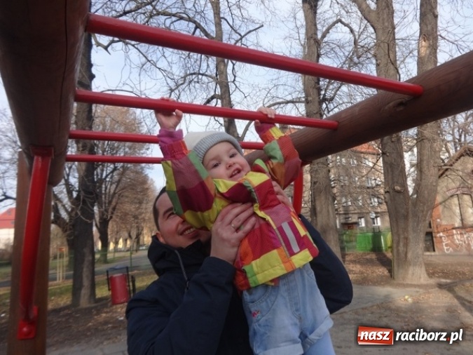 Zdjęcie w galerii na portalu naszraciborz.pl: Fikusie czekają na święta  wiadomości z regionu