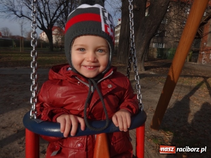 Zdjęcie w galerii na portalu naszraciborz.pl: Fikusie czekają na święta  wiadomości z regionu