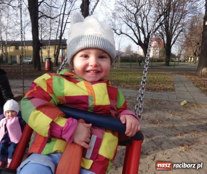 Zdjęcie w galerii na portalu naszraciborz.pl: Fikusie czekają na święta  wiadomości z regionu