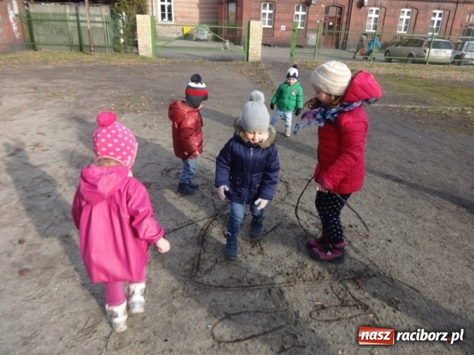 Zdjęcie w galerii na portalu naszraciborz.pl: Fikusie czekają na święta  wiadomości z regionu