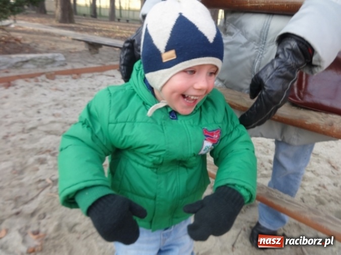 Zdjęcie w galerii na portalu naszraciborz.pl: Fikusie czekają na święta  wiadomości z regionu