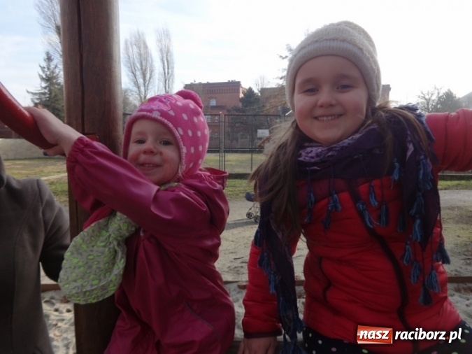 Zdjęcie w galerii na portalu naszraciborz.pl: Fikusie czekają na święta  wiadomości z regionu