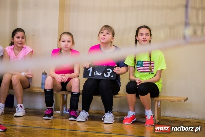 Zdjęcie w galerii na portalu naszraciborz.pl: Turniej Dwójek Siatkarskich Dziewcząt i Chłopców klas VI wiadomości z regionu
