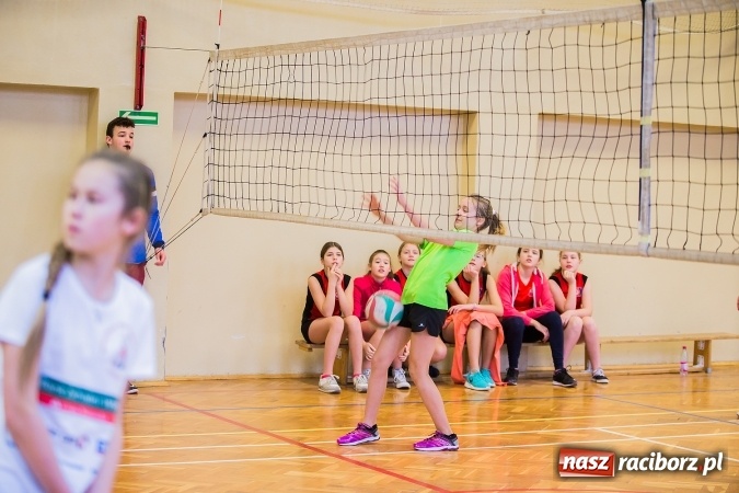 Zdjęcie w galerii na portalu naszraciborz.pl: Turniej Dwójek Siatkarskich Dziewcząt i Chłopców klas VI wiadomości z regionu