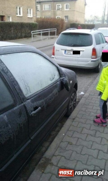 Zdjęcie w galerii na portalu naszraciborz.pl: Seria uszkodzeń samochodów w rejonie Mysłowickiej i Chodkiewicza wiadomości z regionu