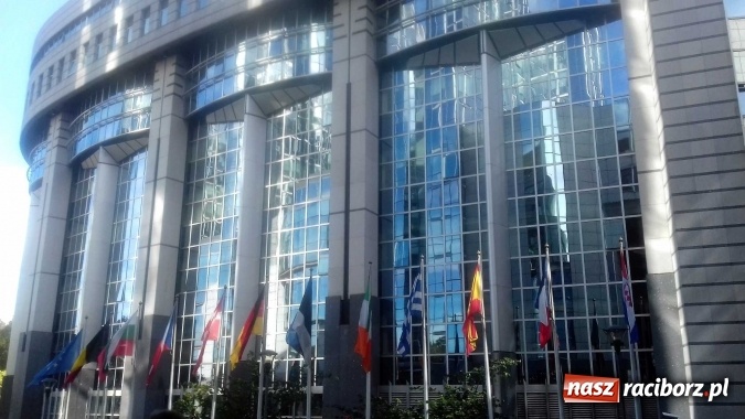 Zdjęcie w galerii na portalu naszraciborz.pl: Uczennice Liceum Plastycznego z Raciborza w Brukseli  wiadomości z regionu