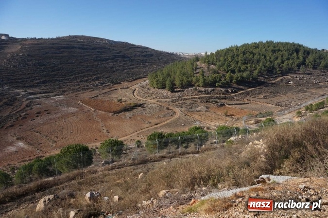 Zdjęcie w galerii na portalu naszraciborz.pl: Dzisiaj w Betlejem… Ziemia Święta AD 2016 z kilku różnych perspektyw wiadomości z regionu