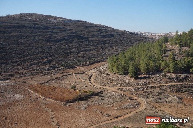 Zdjęcie w galerii na portalu naszraciborz.pl: Dzisiaj w Betlejem… Ziemia Święta AD 2016 z kilku różnych perspektyw wiadomości z regionu