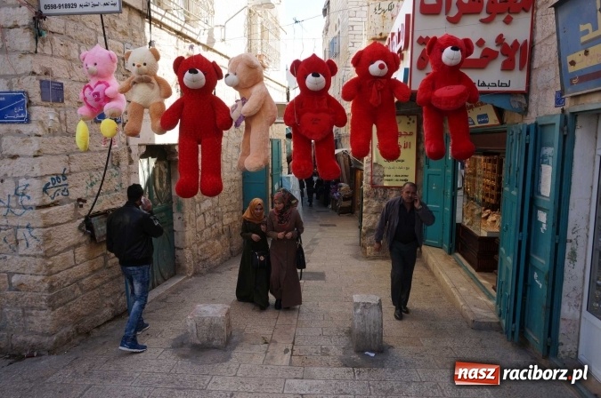 Zdjęcie w galerii na portalu naszraciborz.pl: Dzisiaj w Betlejem… Ziemia Święta AD 2016 z kilku różnych perspektyw wiadomości z regionu
