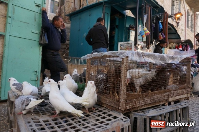 Zdjęcie w galerii na portalu naszraciborz.pl: Dzisiaj w Betlejem… Ziemia Święta AD 2016 z kilku różnych perspektyw wiadomości z regionu