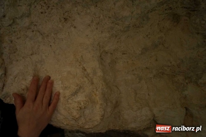 Zdjęcie w galerii na portalu naszraciborz.pl: Dzisiaj w Betlejem… Ziemia Święta AD 2016 z kilku różnych perspektyw wiadomości z regionu