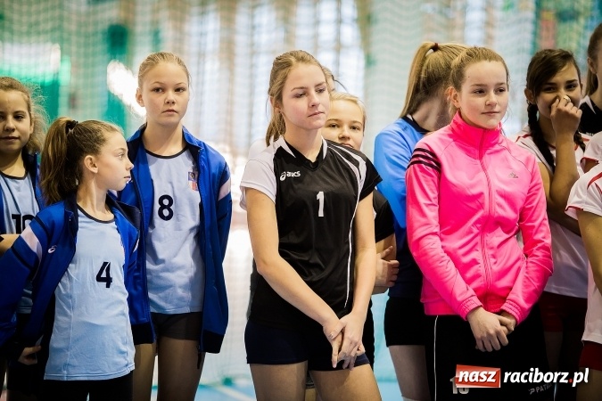 Zdjęcie w galerii na portalu naszraciborz.pl: Turniej w piłce siatkowej młodziczek w Krzanowicach wiadomości z regionu