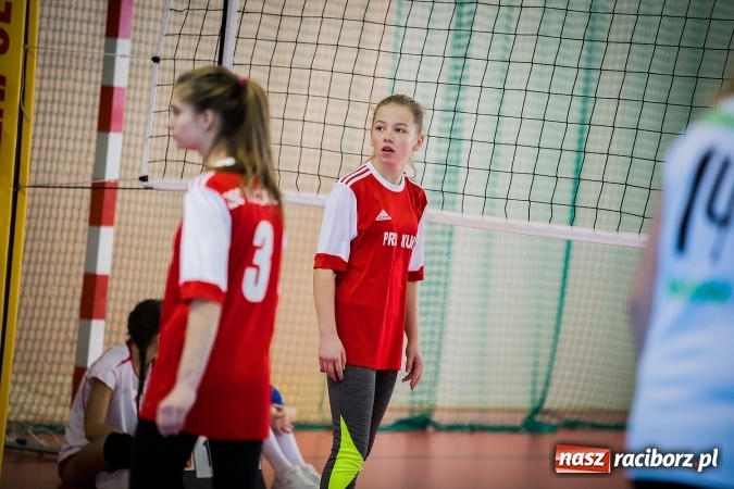 Zdjęcie w galerii na portalu naszraciborz.pl: Turniej w piłce siatkowej młodziczek w Krzanowicach wiadomości z regionu